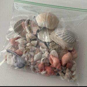 Mixed bag of seashells, crafting shells